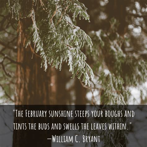 February Quotes Sayings Poems Observances And Fun Facts Holidappy