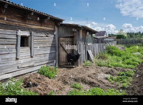 Krasnoyarsk Abandoned Hi Res Stock Photography And Images Alamy