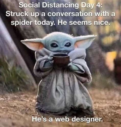 Pin By Brandy Head On Baby Yoda Funny Memes Yoda Meme Yoda Funny