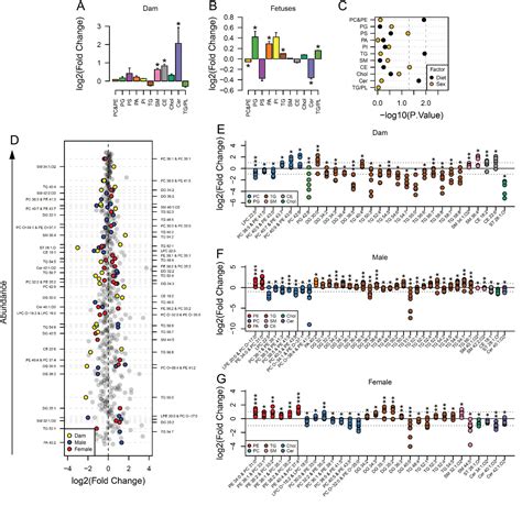 Figures And Data In Maternal Diet Induced Obesity During Pregnancy