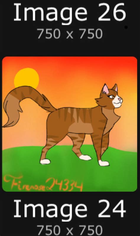 Sunbeam | Warrior Cats