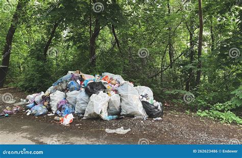 Pila De Basura En La Carretera En El Bosque Contaminaci N Ambiental