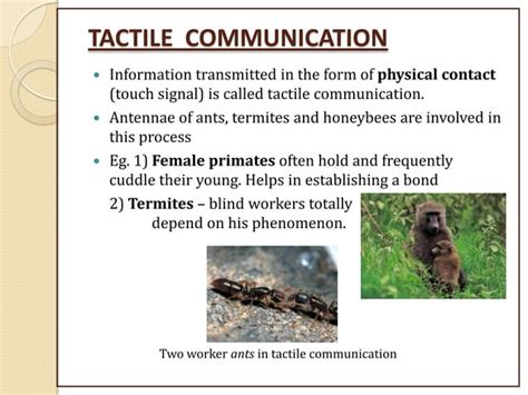 Animal communication | PPT