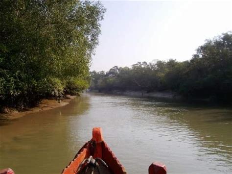 Bhitarkanika National Park Opens For Tourists - odishabytes