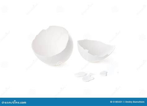 Broken egg shell stock image. Image of single, hatching - 5185431