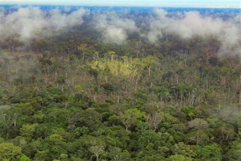 Grilagem de terras na Amazônia brasileira 5 reivindicações de terras