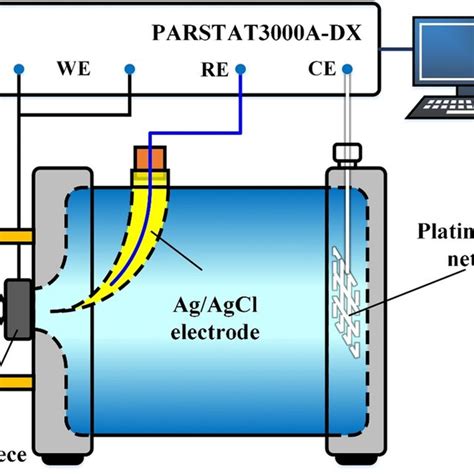 The Three Electrode Electrochemical Test System Download Scientific