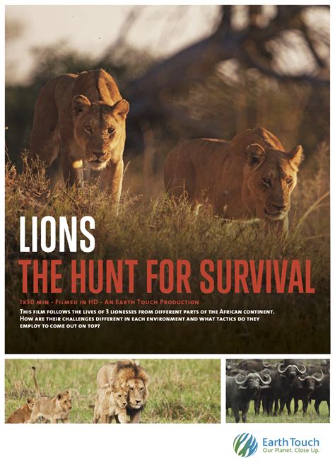 Lions: The Hunt for Survival (2021) | PrimeWire