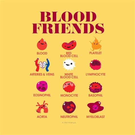 Blood Friends - Cute Blood Anatomy Poster - Funny Hematology Phlebotomy ...