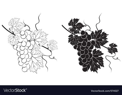 Vine silhouette Royalty Free Vector Image - VectorStock