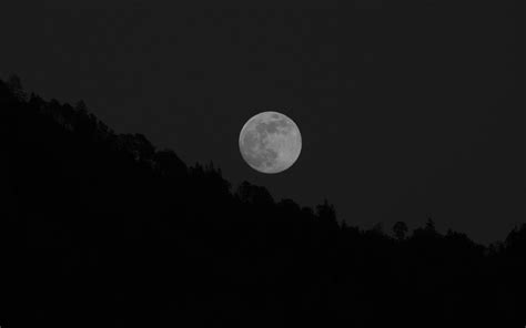 Download wallpaper 1920x1200 moon, full moon, trees, bw widescreen 16: ...