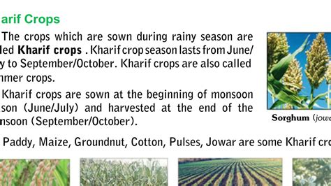 NCERT TEXT BOOK Class 8TH Kharif Crops Explain In Hindi For CBSE E ICSE