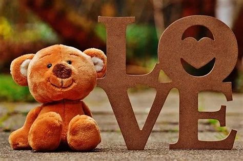 Medv D Medv Dek Milovat Fotografie Zdarma Na Pixabay Teddy Day