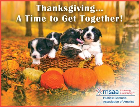 Thanksgiving Designs 2023 | MSAA