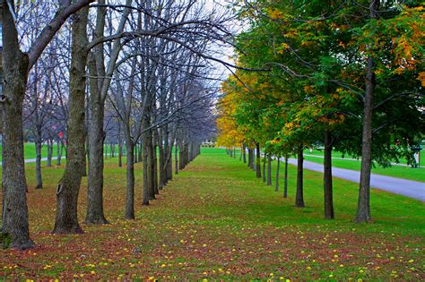 Wallpaper Sunlight Landscape Nature Grass Sky Park Field