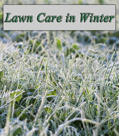 Quiet Cornerwinter Lawn Care Winter Lawn Maintenance Quiet Corner