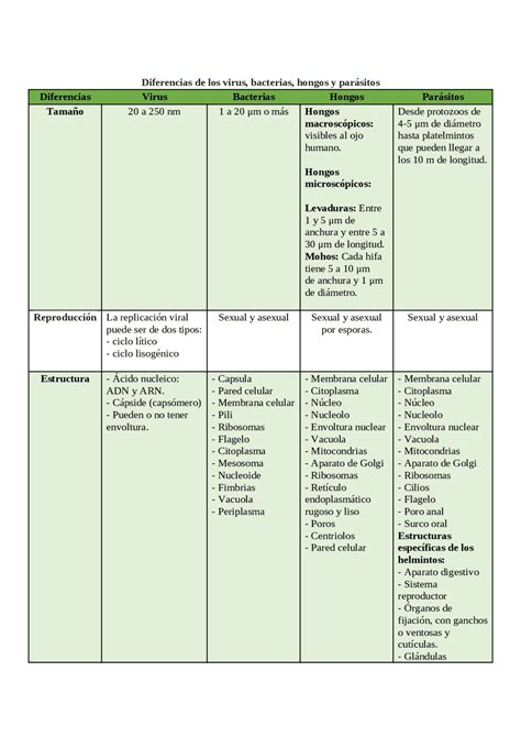 Diferencias de los virus bacterias hongos y parásitos Esquemas y