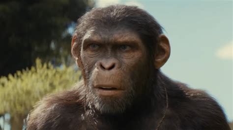 Kingdom Of The Planet Of The Apes Gets Epic Final Trailer Ahead Of Release Next Week