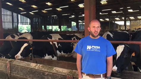 Andrew Gilman Statfold Farm Staffordshire Ahdb Dairy Youtube