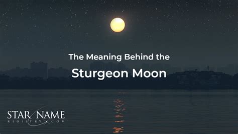 Why Augusts Full Moon Is The Sturgeon Moon Star Name Registry