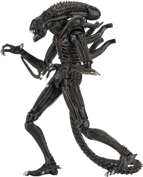 Boneco Articulado Alien Warrior Brown Ultimate Neca Amazon Br