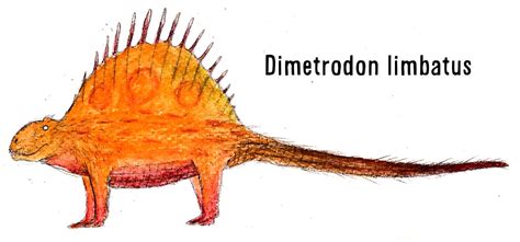 Dimetrodon Limbatus By Plastospleen On Deviantart