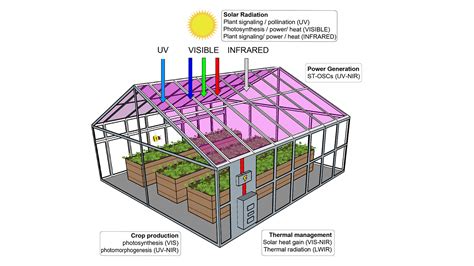 Greenhouses Can Grow Lettuce And Generate Solar Power Study