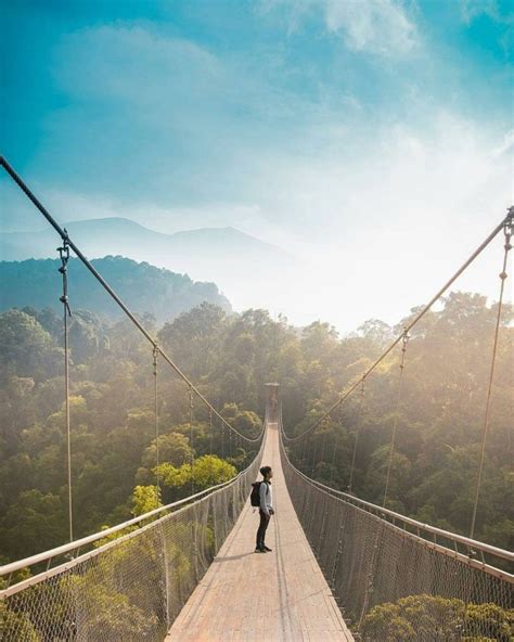 Menjelajahi Keindahan Arsitektur Jembatan Gantung Unik Di Indonesia