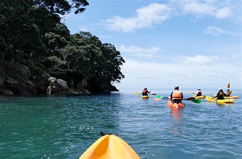 12 Of The Best Things To Do In Tauranga And The Mount | URBAN LIST NEW ...