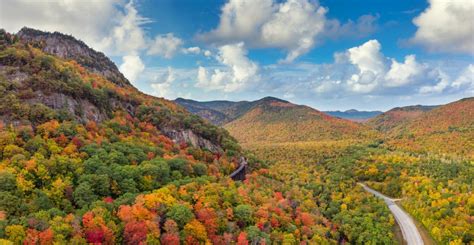 Creating Wildlife Openings in the White Mountain National Forest - The ...