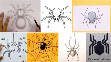 Spider Drawing And Sketches For Kids Kids Art And Craft