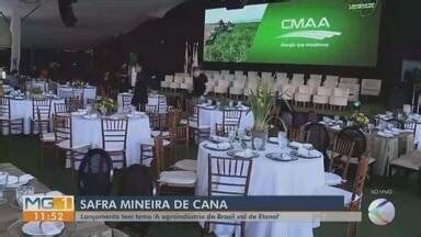 Mgtv Edi O Uberaba Safra De Cana De A Car Tem In Cio Em Minas