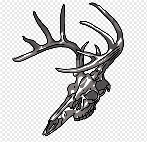 Human Skull With Antlers Drawing