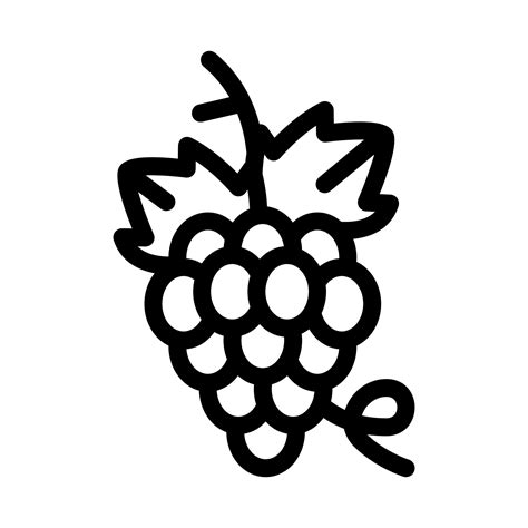 bunch of grapes icon vector outline illustration 17592423 Vector Art at ...