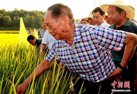 袁隆平：我有两个梦，一个是禾下乘凉，一个是杂交水稻覆盖全球 哔哩哔哩