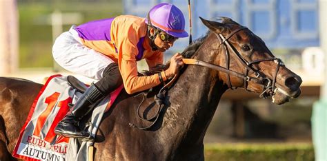 Horse Racing Best Bets for Wednesday 11/8/23 | FanDuel Research