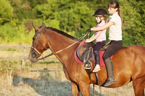 A Quick Ride Through the History of Horseback Riding