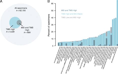 The Relationship Between Tumor Mutation Burden And Microsatellite Download Scientific Diagram