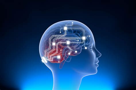 Le Prospettive E Rischi Dell Impianto Cerebrale Di Neuralink