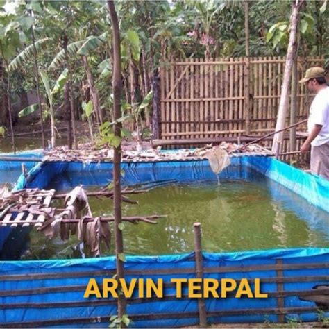 Jual Terpal Kolam Ikan A Ukuran X X Terpal Kolam Petak Kolam