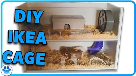 Diy Hamster Cage Ikea : Detolf cage | Dwarf hamster cage from repurposed IKEA Detolf… | Flickr ...