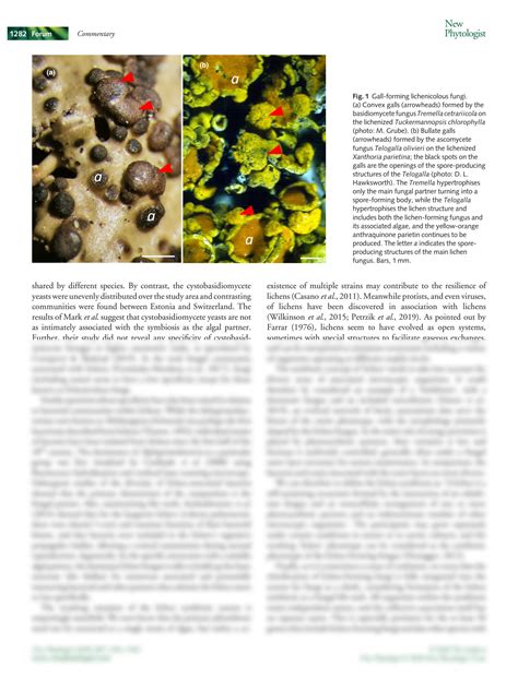 Solution Lichens Redefined As Complex Ecosystems Studypool