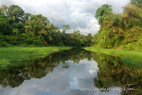 Tortuguero National Park - Shetzers Photography