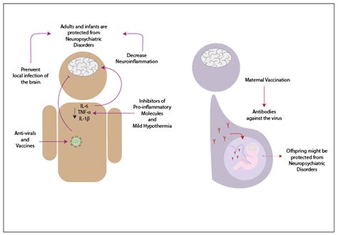 Pharmaceuticals Free Full Text Contribution Of Pro Inflammatory