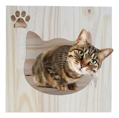 Playground Para Gato Parede Toca Casinha Madeira Resistente