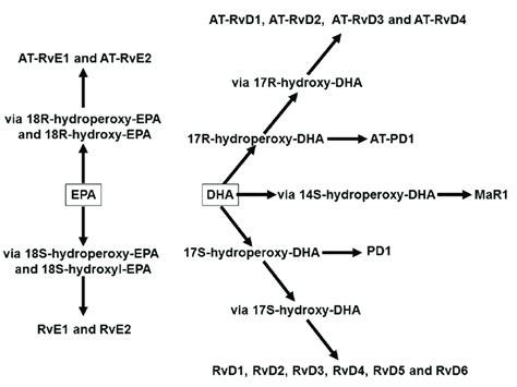 Overview Of The Pathways Of Synthesis Of Specialised Pro Resolving Download Scientific Diagram