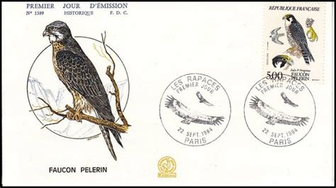 Timbre 1984 FAUCON PÈLERIN Falco P Peregrinus WikiTimbres