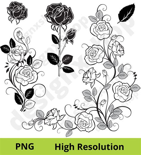 Rose Svg Bundle Rosen Svg Bundle Rose Svg Clipart Bundle Etsy De