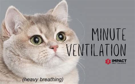 Minute Ventilation | Impact EMS