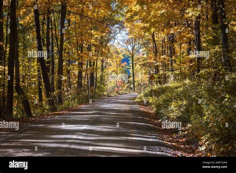 A Road Through Allegheny National Forest In Pennsylvania Usa Stock